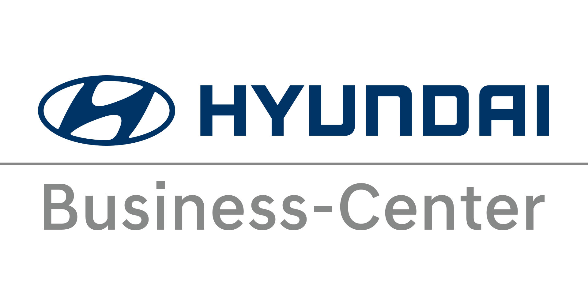 Euler Hyundai BusinessCCenter